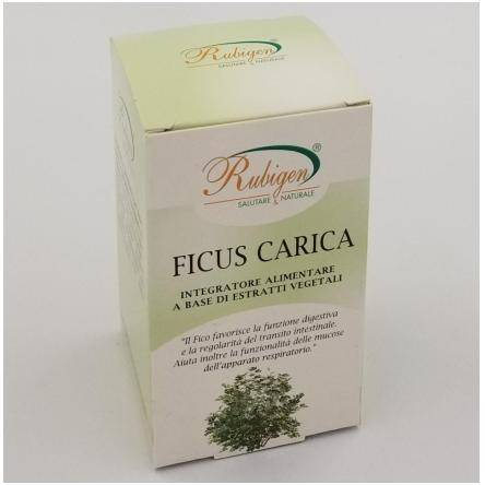 Capsule Ficus Carica,rafforza il Sistema Nervoso 400mg da 60 cps.